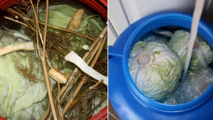 Sursa foto: Facebook