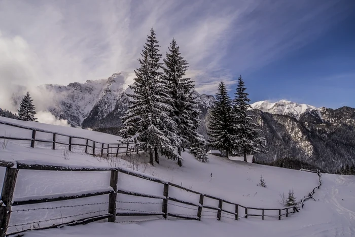 8 wild carpathiadsc02870 jpg jpeg