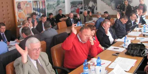 consiliul judeţean sălaj