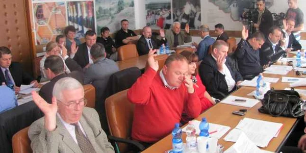 consiliul judeţean sălaj