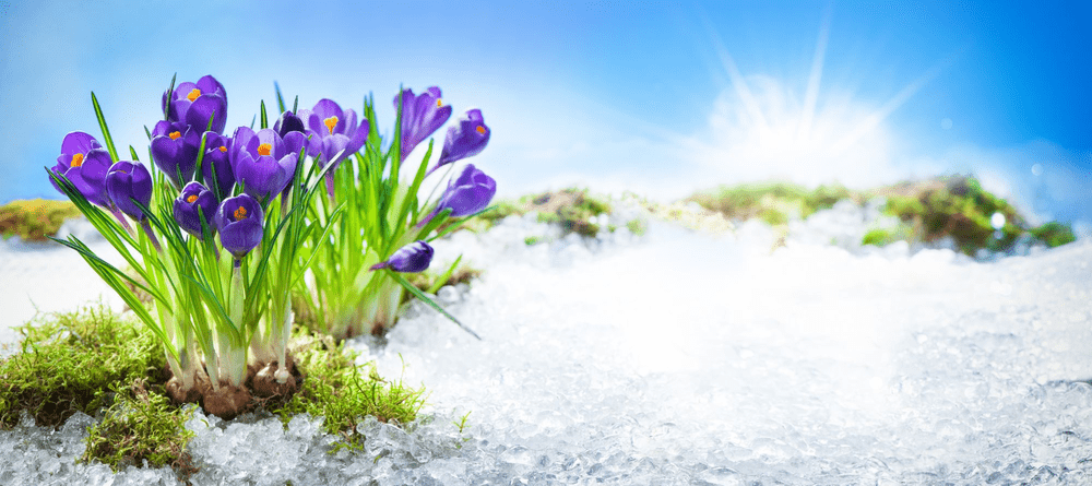 Când vine primăvara cu adevărat. Anunțul meteorologilor, unde sunt așteptate ploi și ninsori slabe