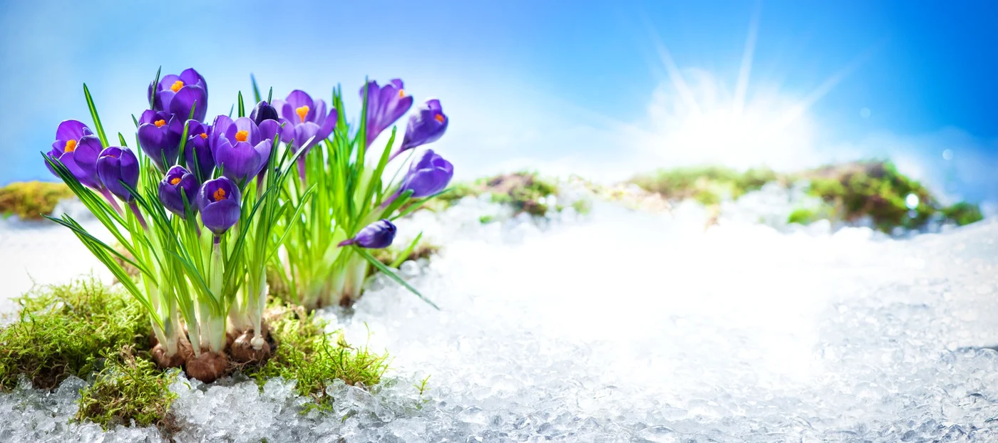 Cerul Capitalei va prezenta înnorări temporare. Foto: shutterstock (Arhivă)