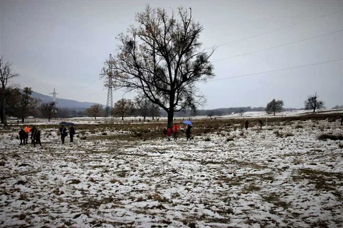 Islazul cu stejari din Horezu - Vâlcea unde au fost plantaţi 100 de puieţi în onoarea Centenarului Marii Uniri Foto RNP Romsilva