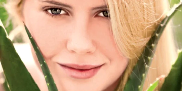 Pentru a putea  fi folosită ca remediu terapeutic, planta de aloe vera trebuie să ajungă la maturitate  (3 ani)