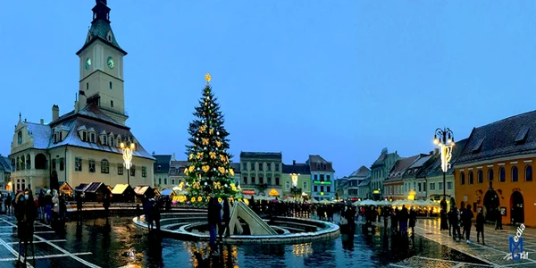 Primăria Braşov va împodobi câte un brad în fiecare cartier FOTO Primăria Braşov