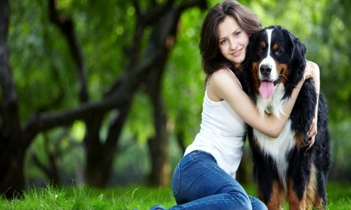 1 76231 original jpg jpeg