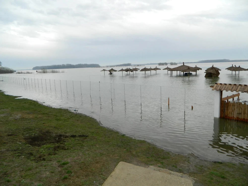 Dunărea a acoperit deja peste 70 de hectare lângă oraşul Corabia...