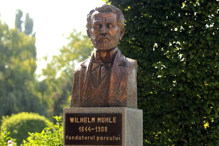 Wilhelm Muhle