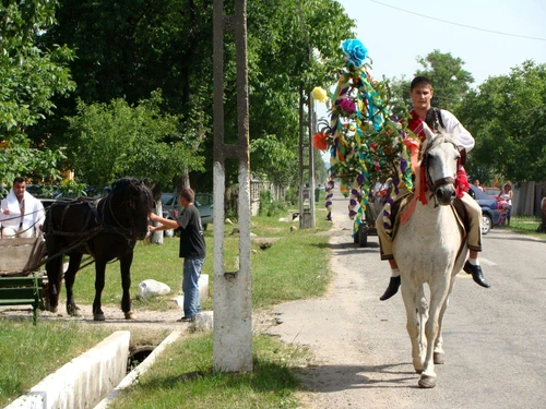 1 69267 original jpg jpeg