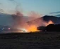 Arde pădurea în Tulcea FOTO Facebook