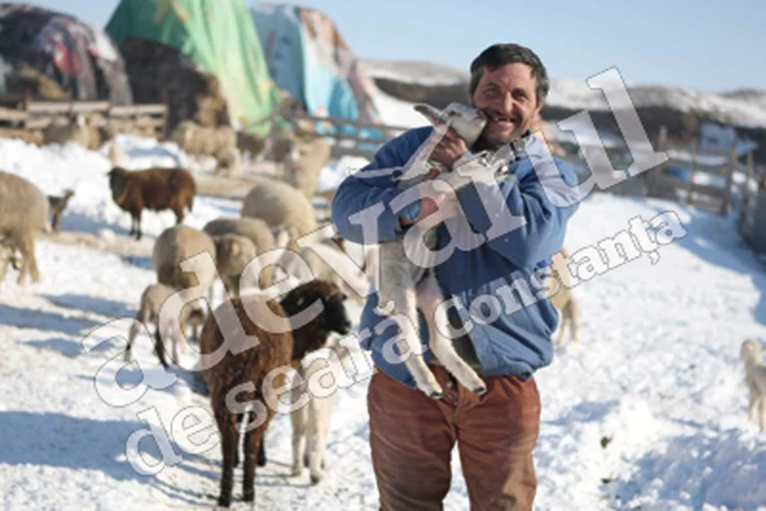 Petre Piciog este cioban la o stână din apropiere de Cumpăna