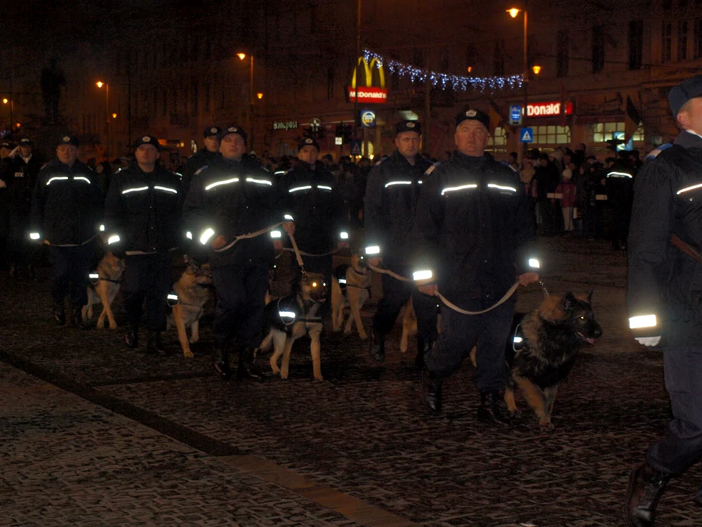 Polițiștii au defilat cu câinii din dotare