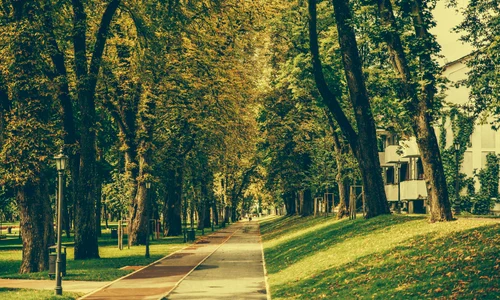 Aerul tare al realității jpeg