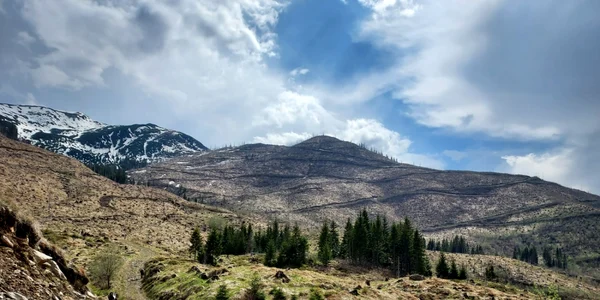 Conservation Carpathia