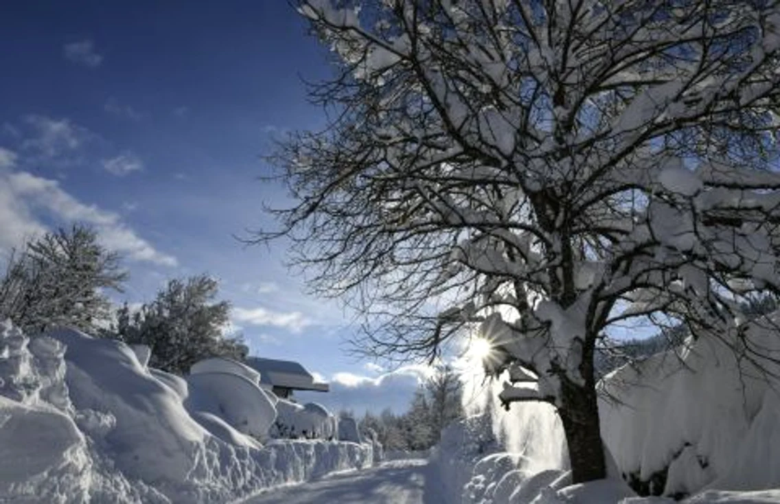Gerold - Germania. FOTO EPA-EFE