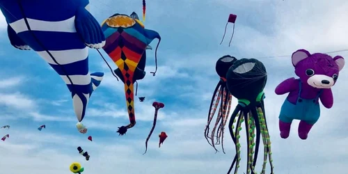 Festivalul Internaţional de Zmeie din Timişoara