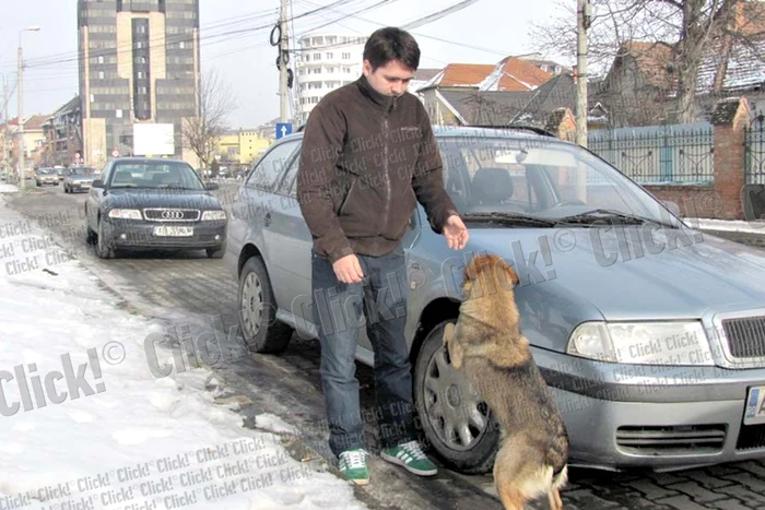 „Vulpea” nu se mişcă de lângă autoturismul parcat (Foto: Dorin Ţimonea)