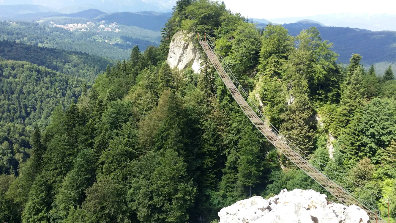 Podul peste cascada Tamina - simulare
