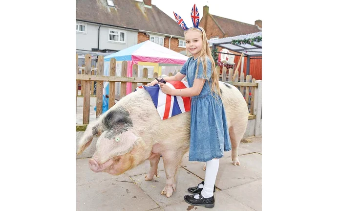 Alice are grijă să îl îndoape pe eroul ei cu fel de fel de bunătăţiFoto: photoland/caters