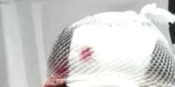 cap spart