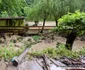 Inundatii pe Valea Zlastiului din Hunedoara Foto Daniel Guță ADEVĂRUL (24) jpg