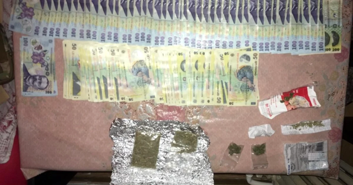Poliţişti au găsit cannabis şi 18.000 de lei la locuinţele suspecţilor de trafic de droguri