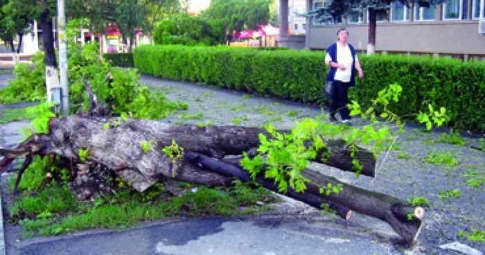 Hunedoara: Furtuna a făcut ravagii în Deva