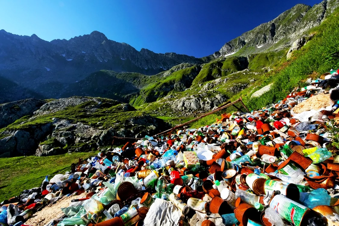 Potrivit specialiştilor ţinta de reciclare pe care o avem, de 60-70%, poate fi atinsă doar dacă rezolvăm problema deşeurilor biodegradabile foto shutterstock