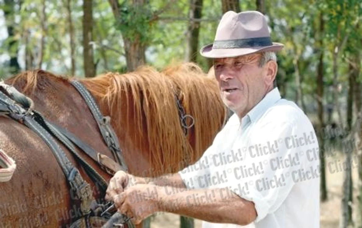 Octavian Dârviş s-a îmbrăcat ca în Deşertul Sahara (Fotografii: DORIN CONSTANDA)