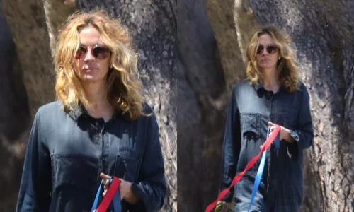 1 julia roberts pandemie jpg jpeg