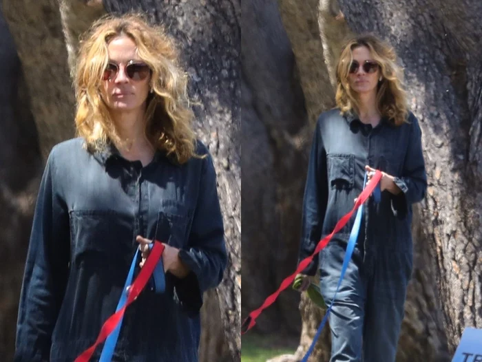 1 julia roberts pandemie jpg jpeg