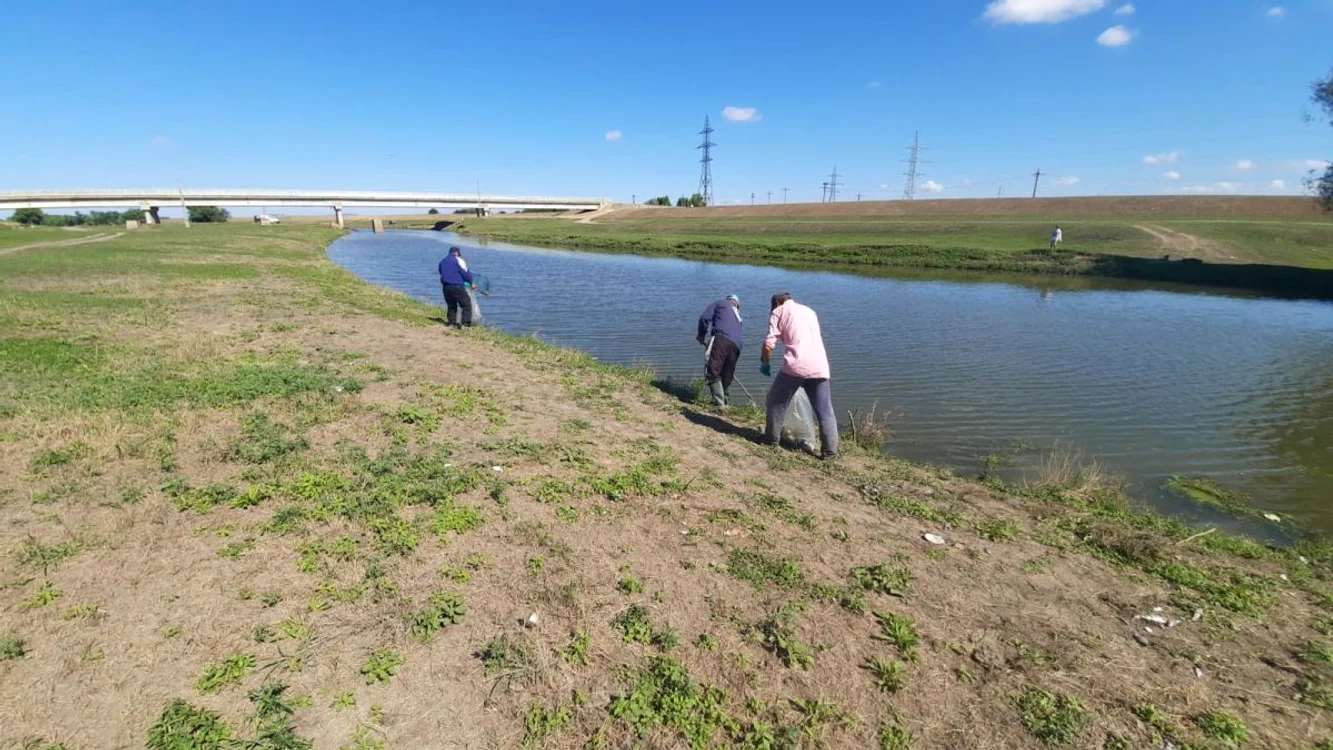 Muncitorii au fost trimiși ca să strângă în saci peștii morți de pe Râul Bahlui 