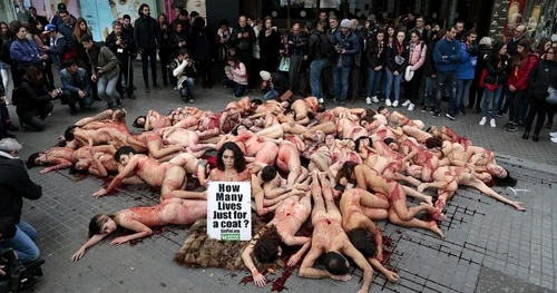 Activiştii din grupul Anima Naturalis protestează în Barcelona FOTO Getty Images