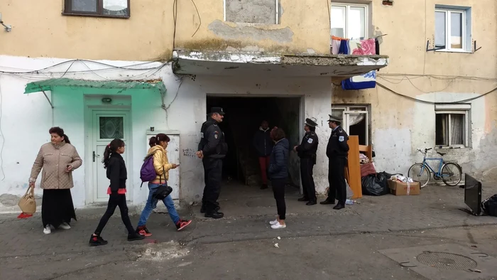 bloc turturica alba