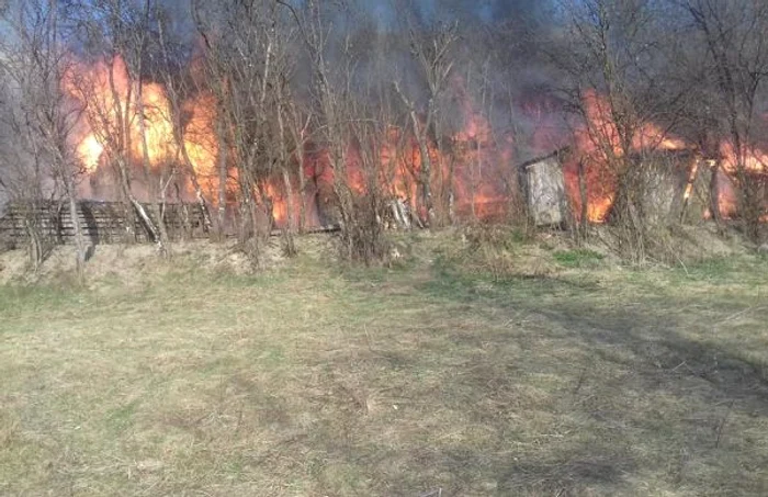 incendiu apuseni