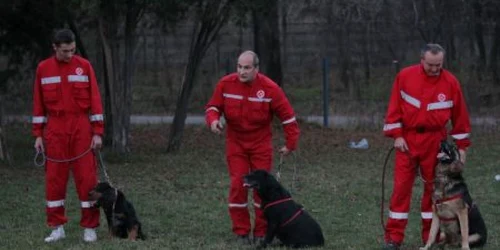 Romeo Mitrache şi Skip (stânga), Liviu Ionescu şi Kapa, Ion Băcioiu şi Max