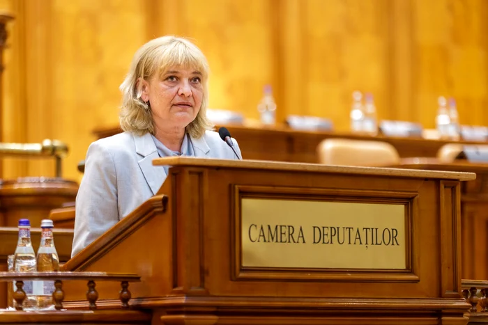 Cristina Vecerdi - Deputat PNL - Foto Facebook