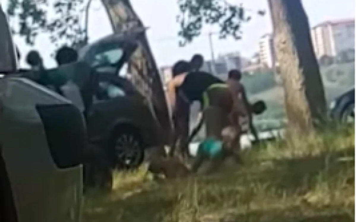 Copil agresat de mamă la iarbă verde Sursa Youtube / Tulcea noastră