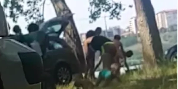 Copil agresat de mamă la iarbă verde Sursa Yotuube / Tulcea noastră