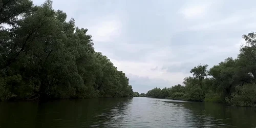 5cdc0dcf445219c57ea9b4fe jpg