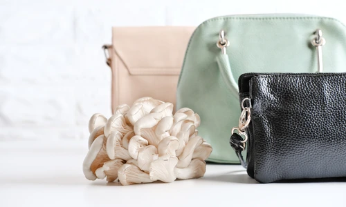 1 shutterstock 1901209570 jpg jpeg