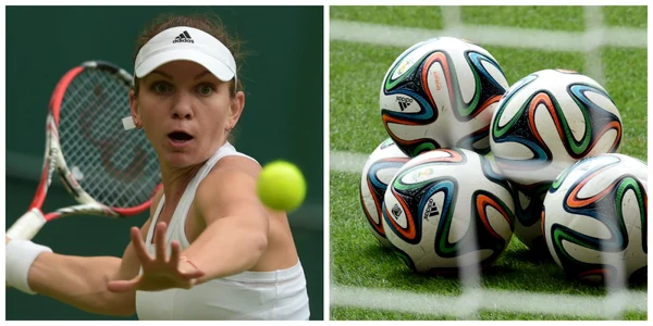 halep si cm 2014 foto afp