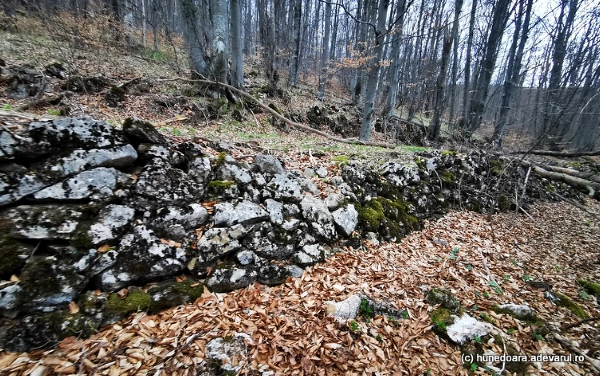 Troianul Foto: Daniel Guţă. ADEVĂRUL