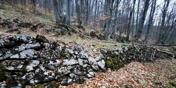 marele zid dacic cioclovina ponorici foto daniel guta adevarul