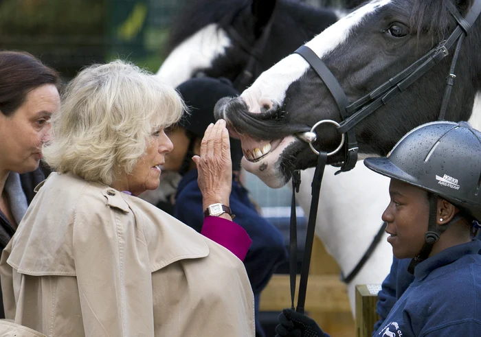 Regina Camilla iubește caii jpg