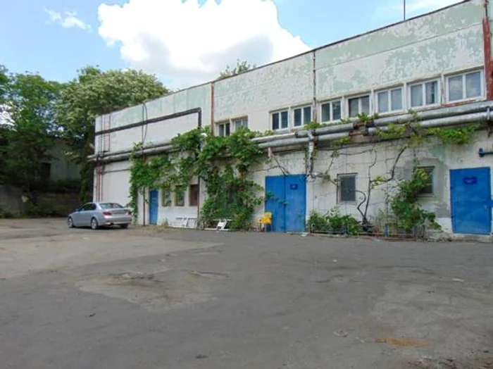 Vastex Vaslui. Foto: arhiva.