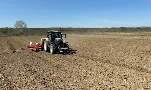 Agricultorul Marius Moțoc muncește 170 de hectare de teren arabil FOTO MA (1) jpg