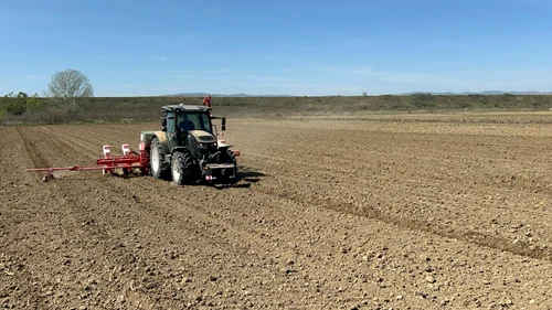 Agricultorul Marius Moțoc muncește 170 de hectare de teren arabil FOTO MA (1) jpg