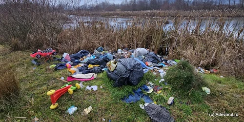 Lacul lebedelor de pe Râul Strei Foto Daniel Guță (39) jpg