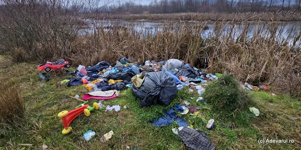 Lacul lebedelor de pe Râul Strei Foto Daniel Guță (39) jpg